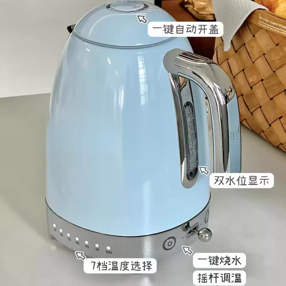 Bollitore Elettrico Retrò con  - Electric Kettle Temperature Control recensione e prezzo